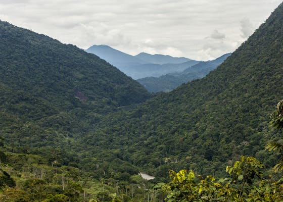 上梅奥森林保护区