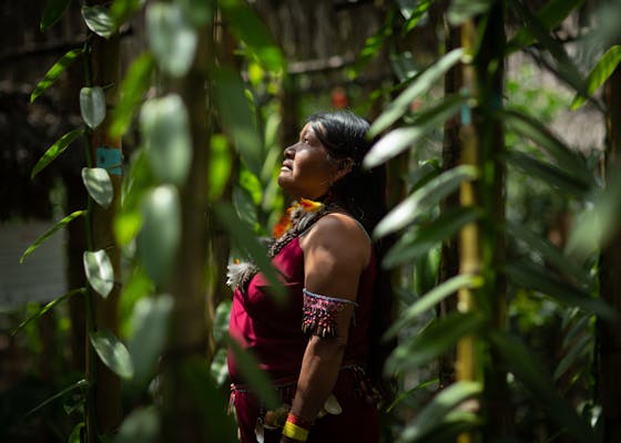 秘鲁上梅奥州Shampuyacu森林中的一名妇女