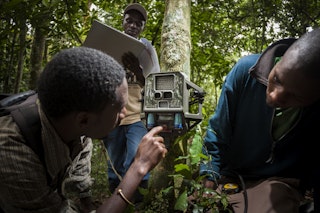 三名男子在乌干达设置了一个摄像机陷阱