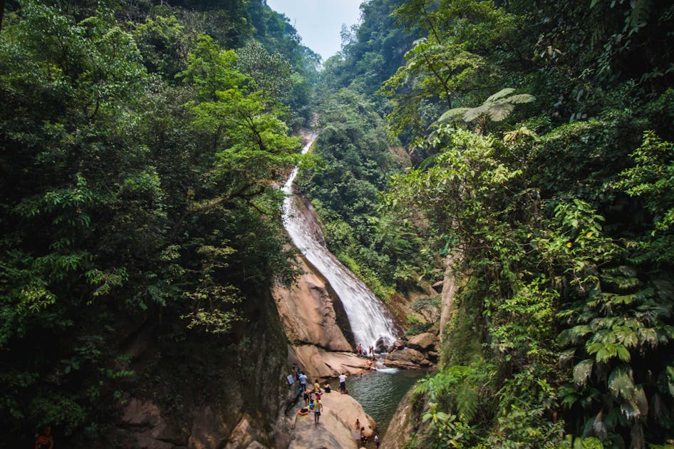 New Protected Area in Peru Safeguards Wildlife and Promotes Eco-Tourism