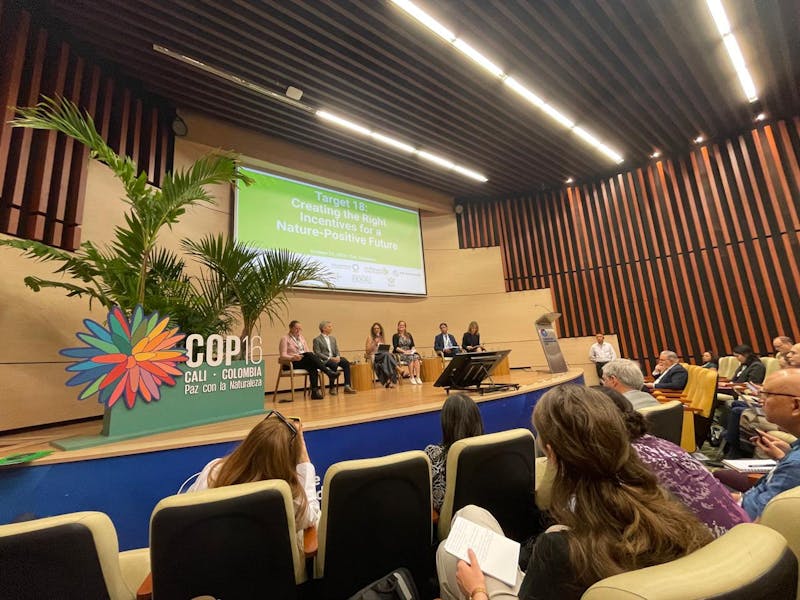 Panel en COP16