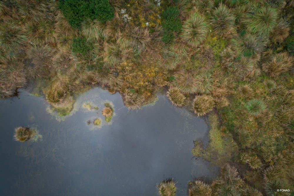 /images/default-source/ci-ecuador/humedal-sin-gente-(1).jpeg?sfvrsn=10d329e6_1