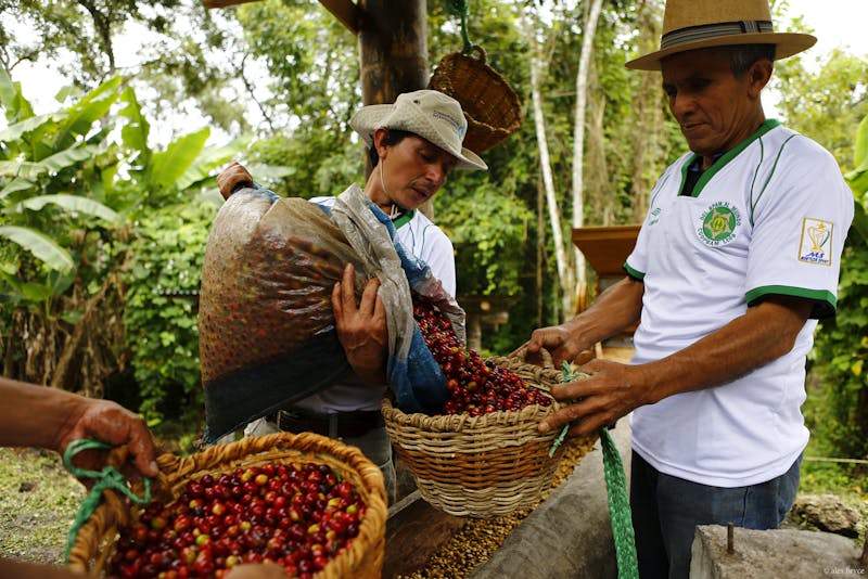 Mientras la pandemia azotaba al Perú, una región florecía