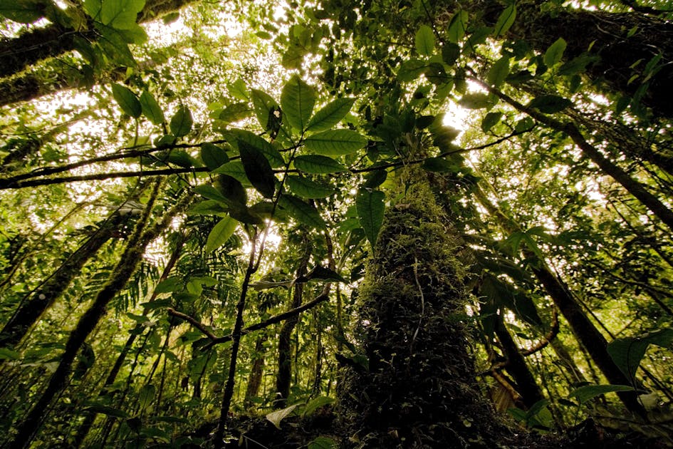 Earth Month: Shaping an economy built on nature