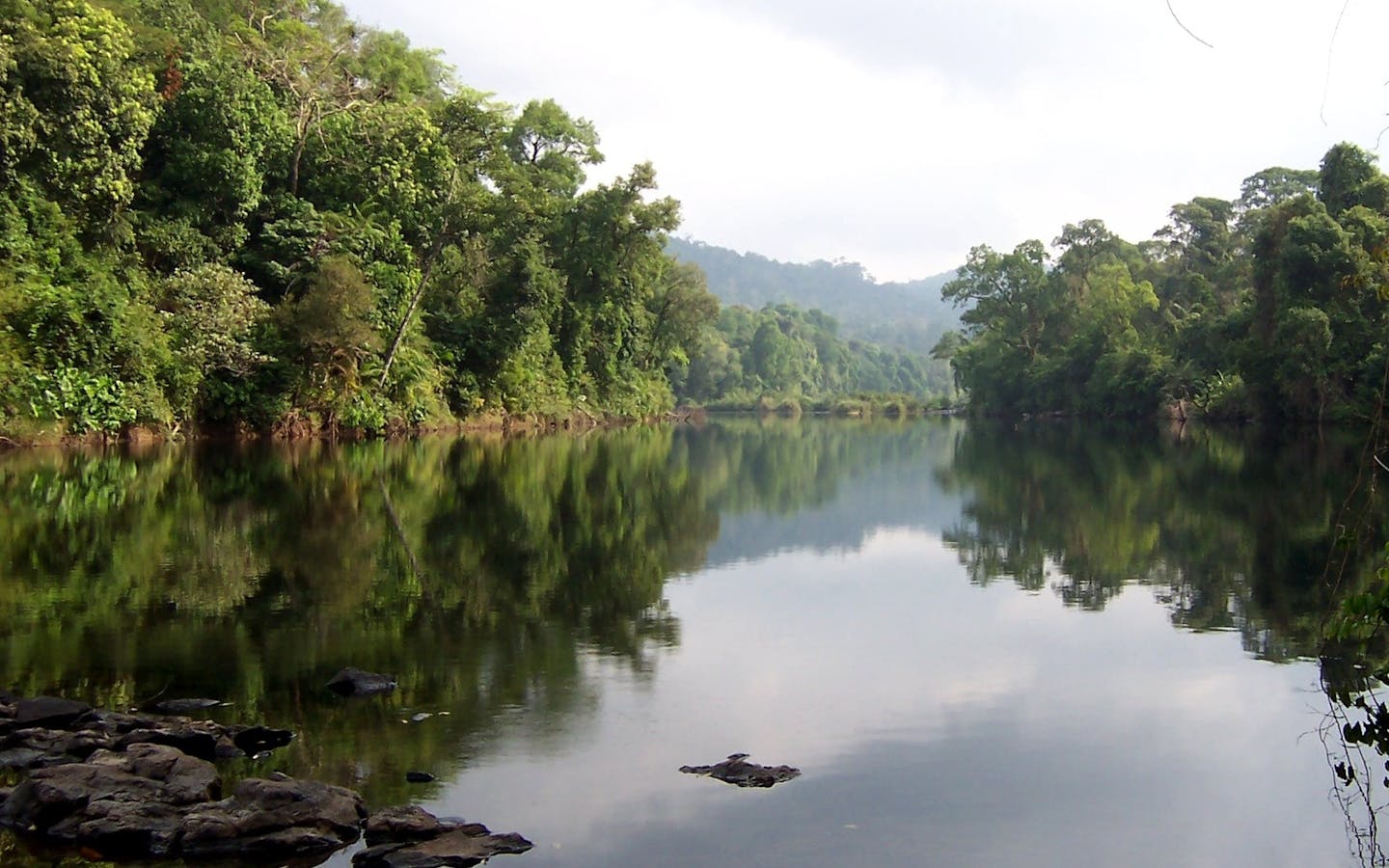 Areng River, Cardamom Mountains               