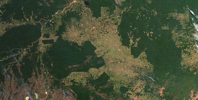 Slash and burn deforestation in Rondonia, Brazil. 