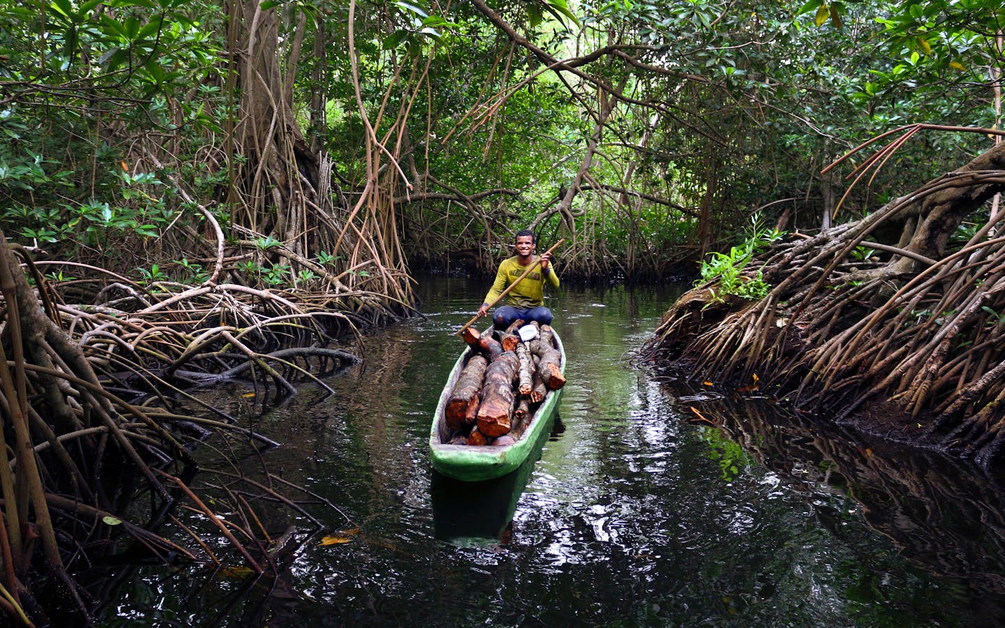 Man navigates a canoe through mangroves in Cisbata Bay, Colombia