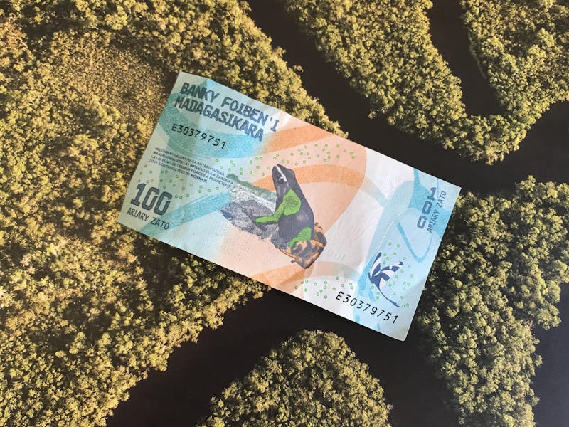 Malagasy bank note featuring Trond Larsen's frog.