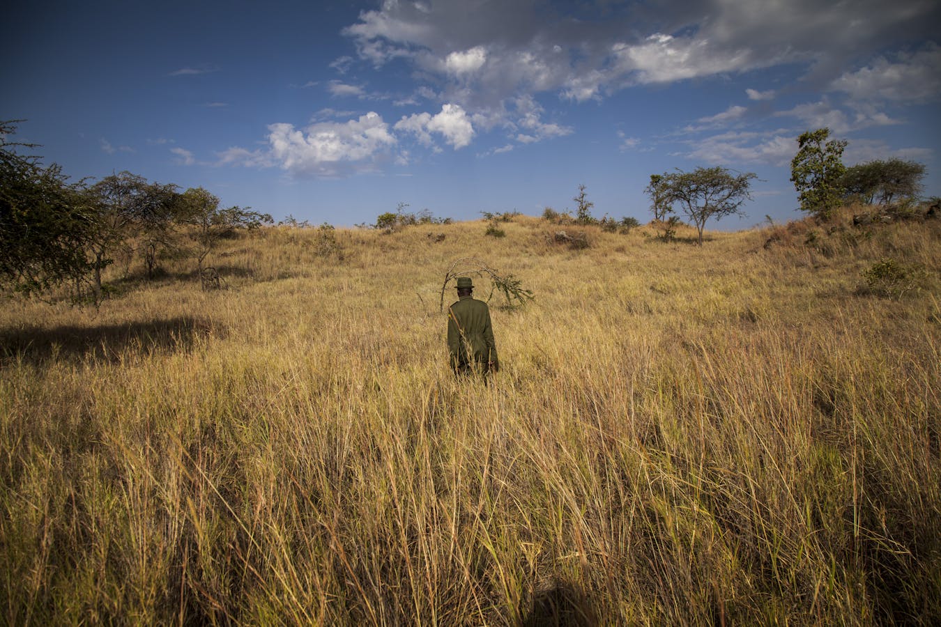 Restoration in Kenya's Chyulu Hills