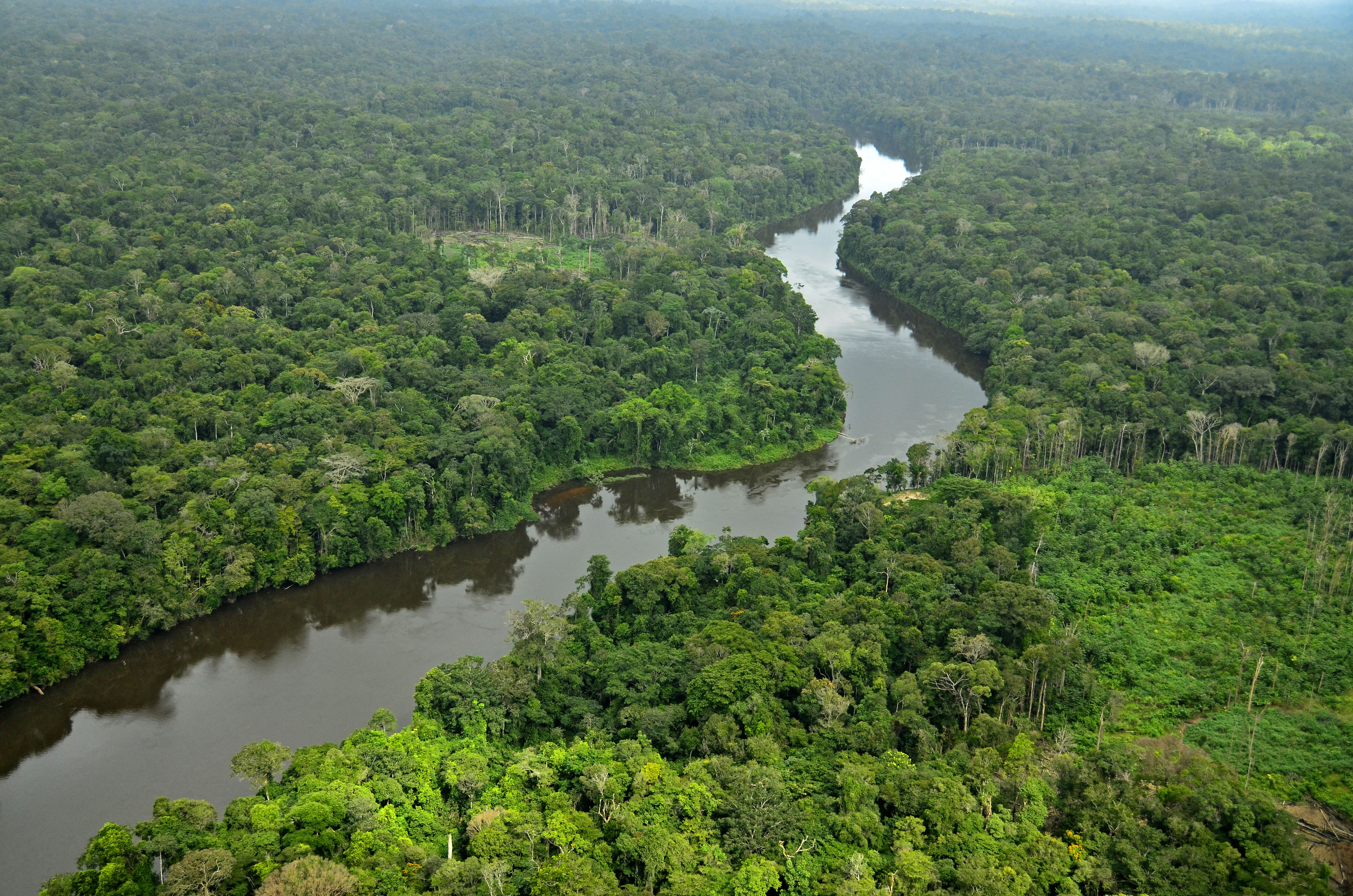 Самая полноводная река бразилии. Река Амазонка в Бразилии. Сельва Южной Америки. Амазонская низменность Сельва. Река Аракара в Бразилии.