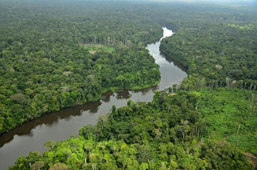 Sipaliwini District, Upper Palumeu