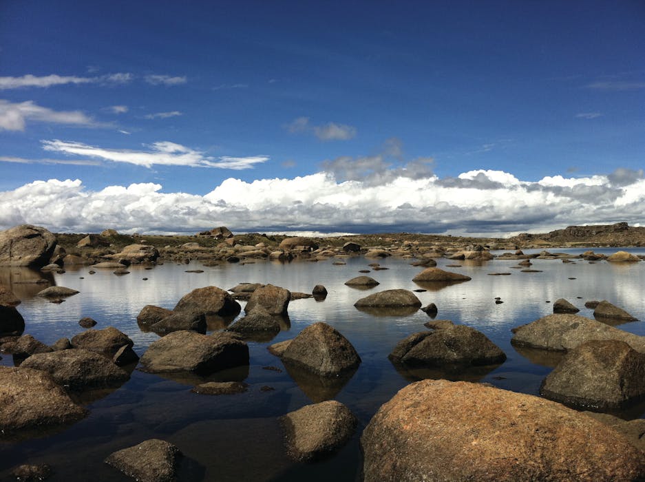 Wetland in Haizishan Projected Area, China