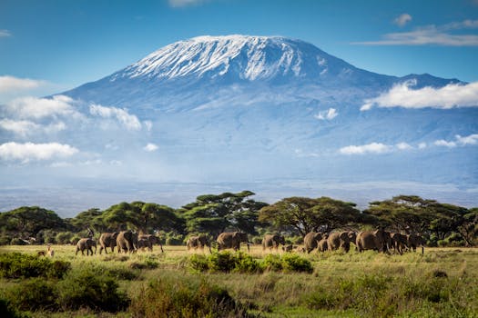 Mt. Kilimanjaro from Kenya with elephants in the foreground. 