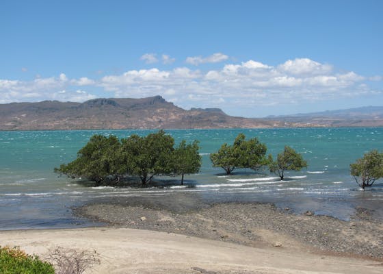 Few remaining mangroves surrounding the Bay of Diego