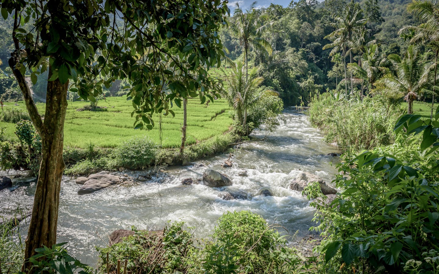 A river flows through the Batang Gadis watershed in Mandailing Natal, North Sumatra.