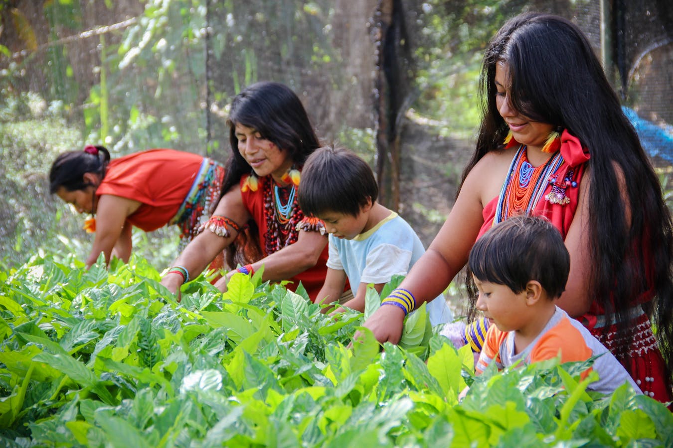 Women of the Awajun Native Community of Shampuyacu (Peru)