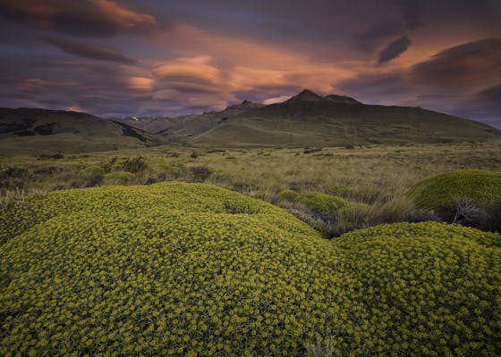 Patagonian landscape, Argentina