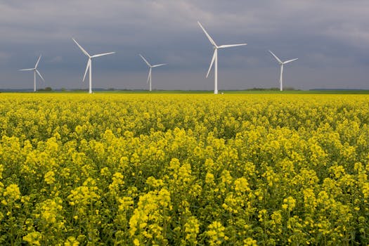 Wind power station near Westerhever, Germany. 