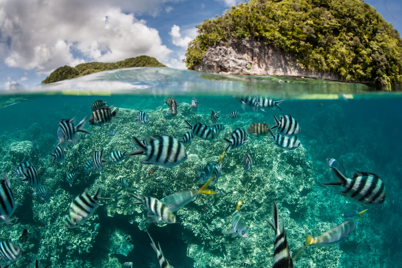 The ocean – the world's greatest ally against climate change