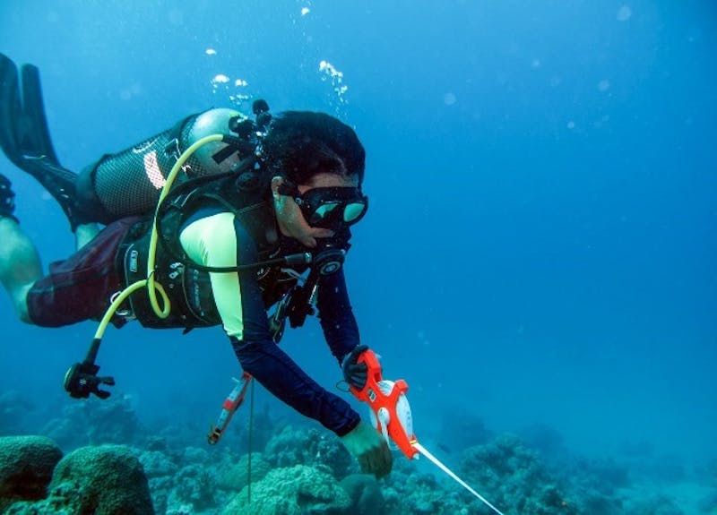 In Indonesia marine park, survey finds troubled waters