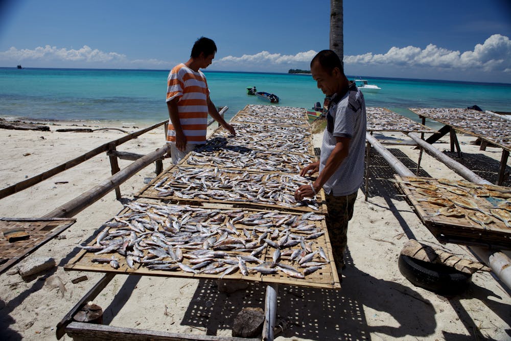 Men gathering fish on the beach