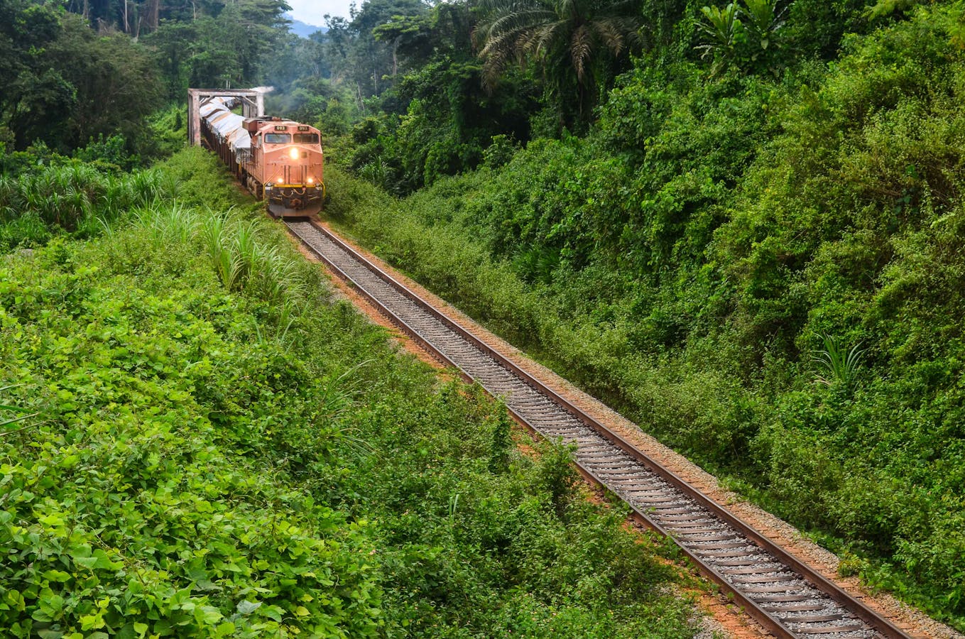 Responsible mining in Liberia's Nimba Mountains