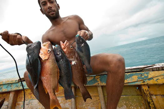 Artisanal harpoon fishing, Caravelas,  Bahia, Brazil 