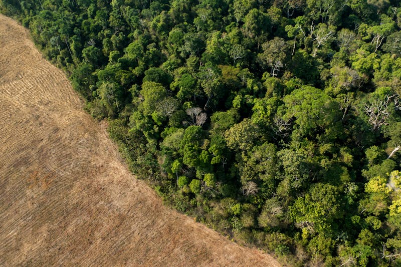 Vista aérea da fronteira entre a floresta tropical brasileira e as terras agrícolas