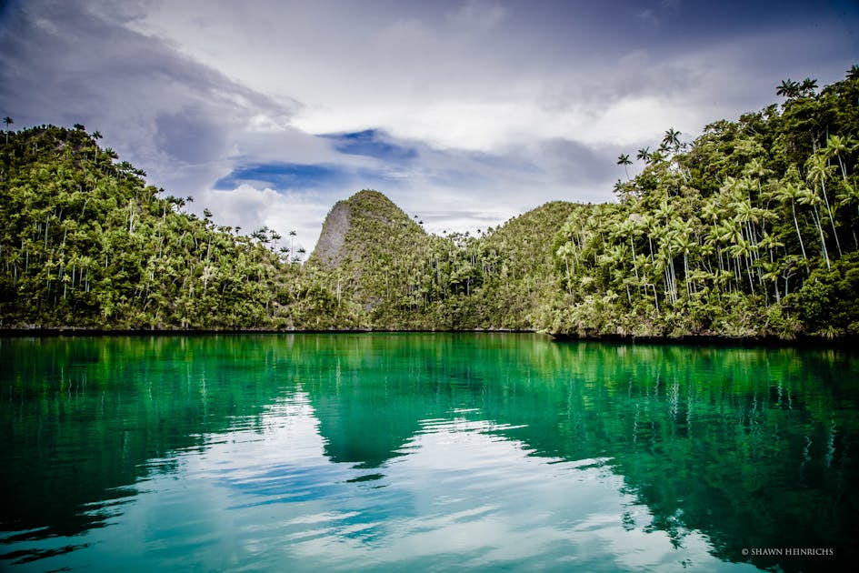 Conservation International Asia-Pacific