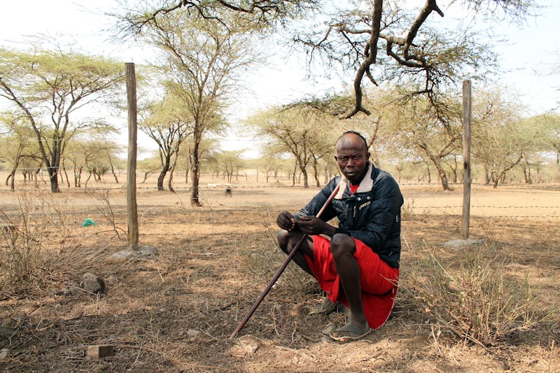 Herder and head of the morans (Maasai warriors) Masheer Torei