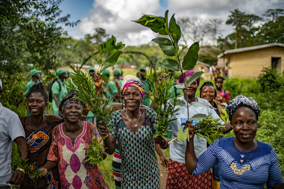 How are gender, environment linked? Start here