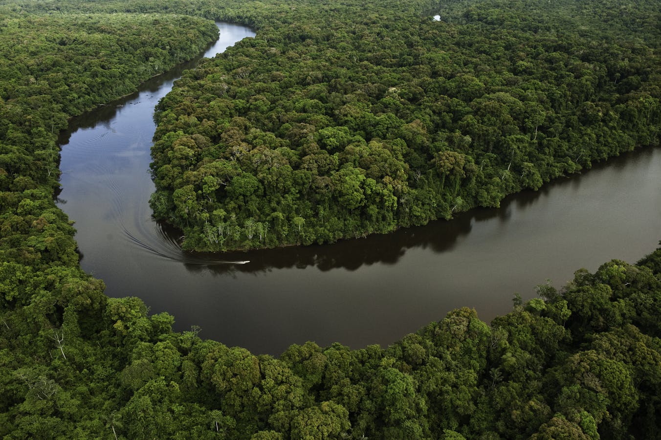 Aerial, Essequibo River