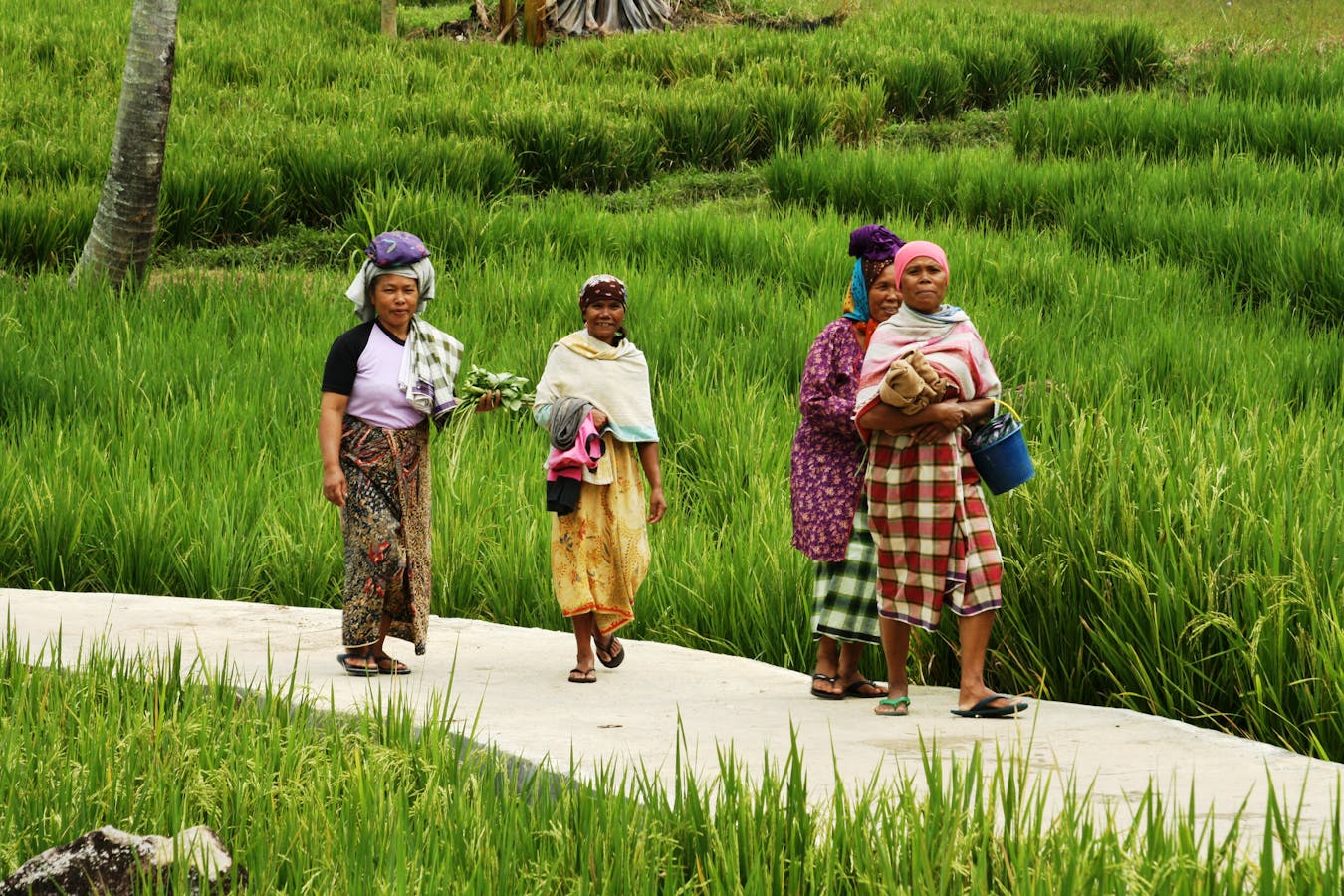 Women in Sumatra