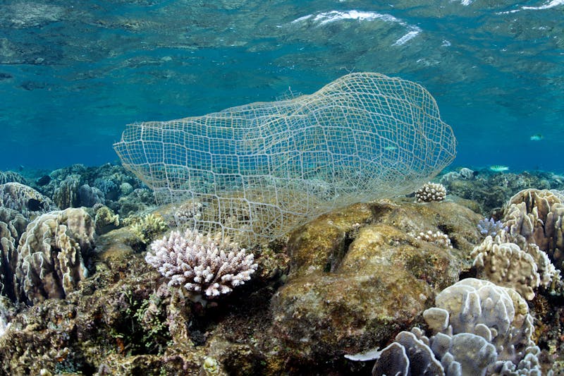 News spotlight: Just how big is the ocean plastic problem?