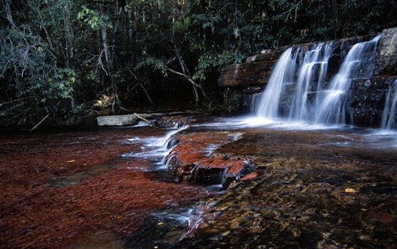 Jaspe Creek waterfall, La Gran Sabana, Canaima National Park, Bolivar, Venezuela