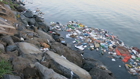Plastic marine pollution, Panama