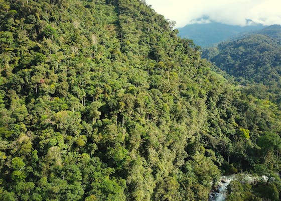 View of the Yuracyacu river and forest in the Alto Mayo Protected forest