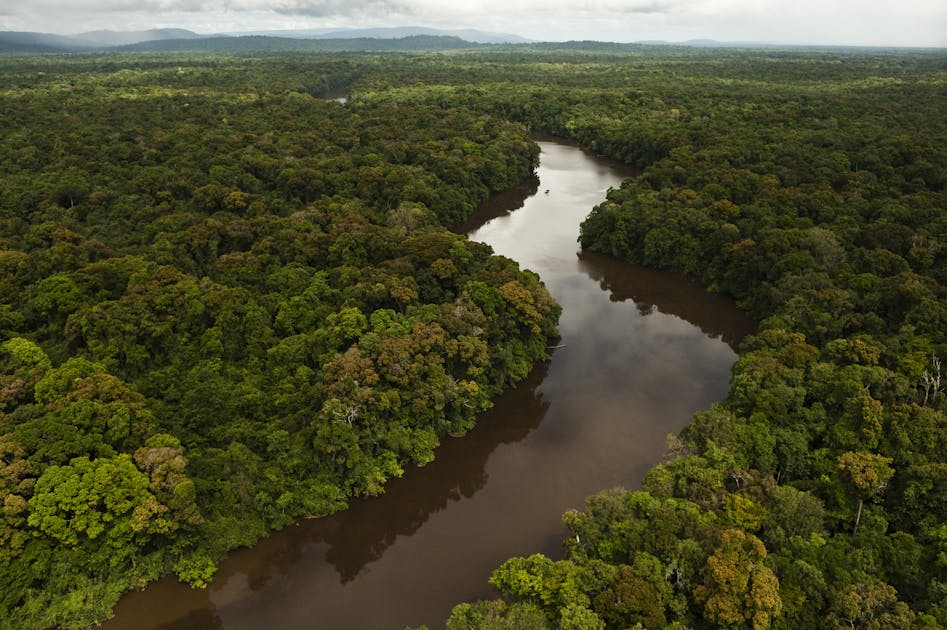 These 7 maps shed light on most crucial areas of Amazon rainforest