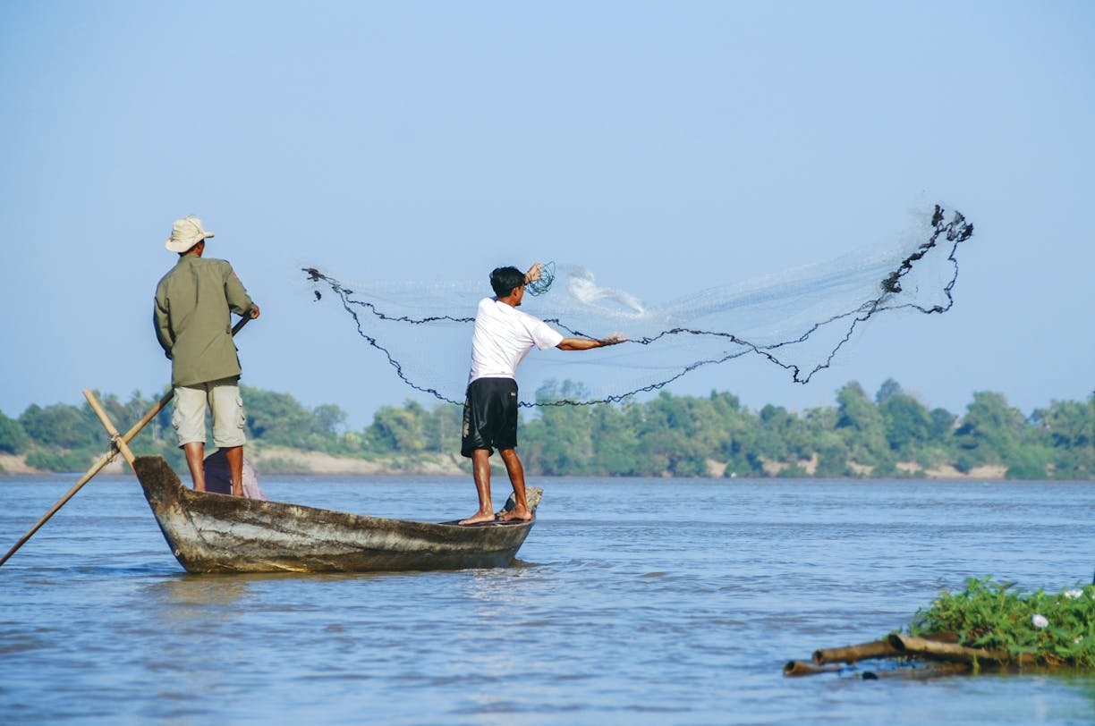 Report: One-fifth of Mekong River fish face extinction