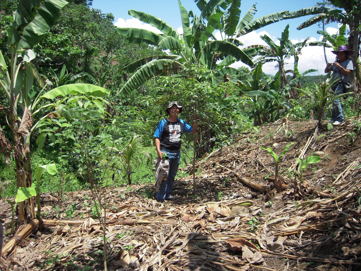 Farmer standing next to the tree he has planted over degraded land.       