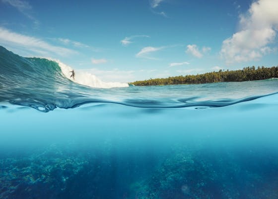 Half underwater shot of a surfer riding a reef break wave in Indonesia