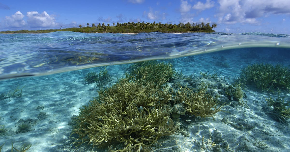 5 ways that climate change affects the ocean