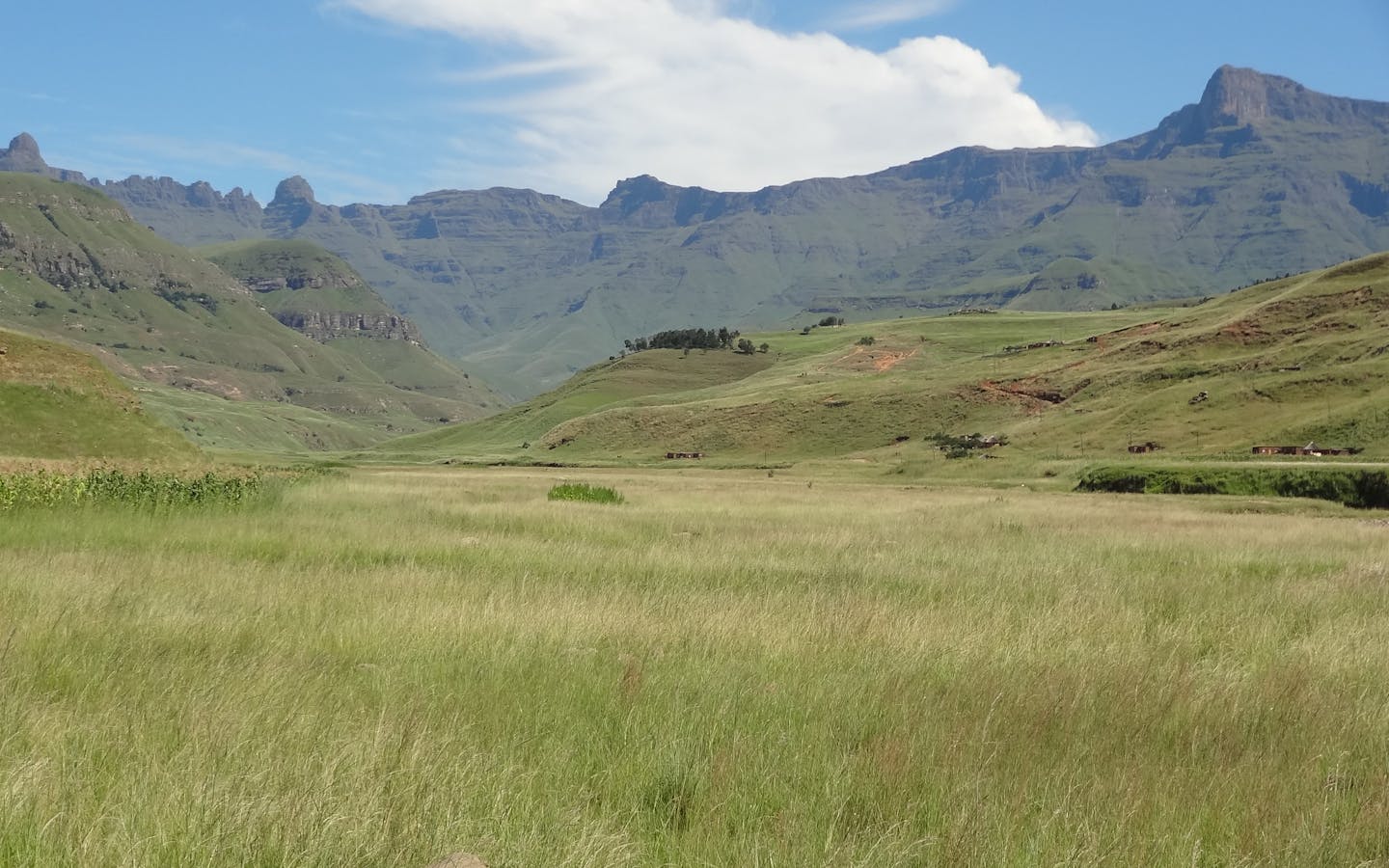 Scenes from KwaZulu-Natal and CEPF-grantee worksites in the Maputaland-Pondoland-Albany hotspot.