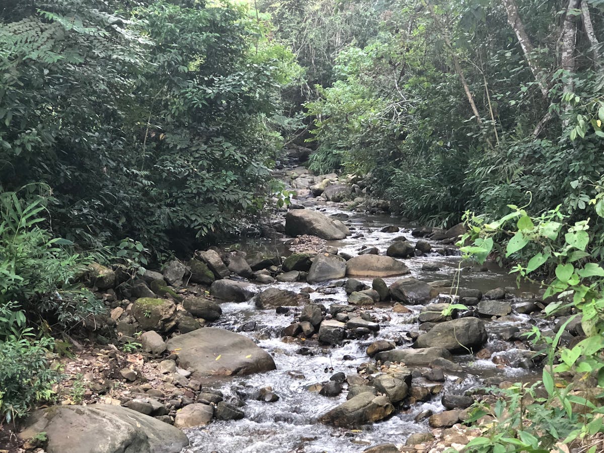 Rocky stream in Alto Mayo, Peru