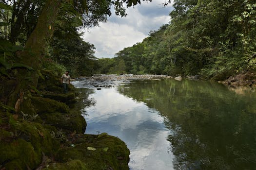 Alto Mayo Protected Forest