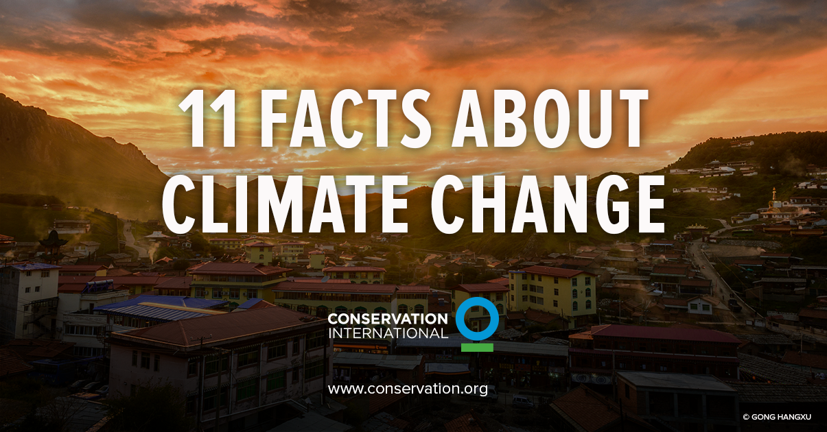 Climate Change - 11 Facts You Need To Know