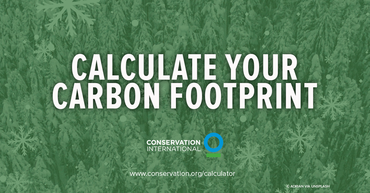 Carbon Footprint Calculator