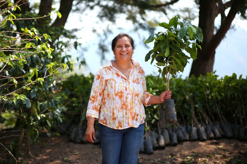 Woman coffee producer in Mexico