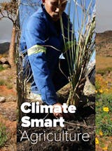 https://ciorg.imgix.net/images/default-source/graphics/climate-smart-agriculture?&auto=compress&auto=format&fit=crop