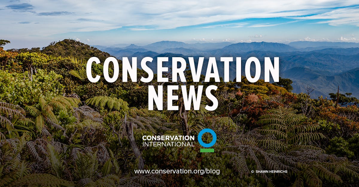 Online latest English News on Environment and Nature